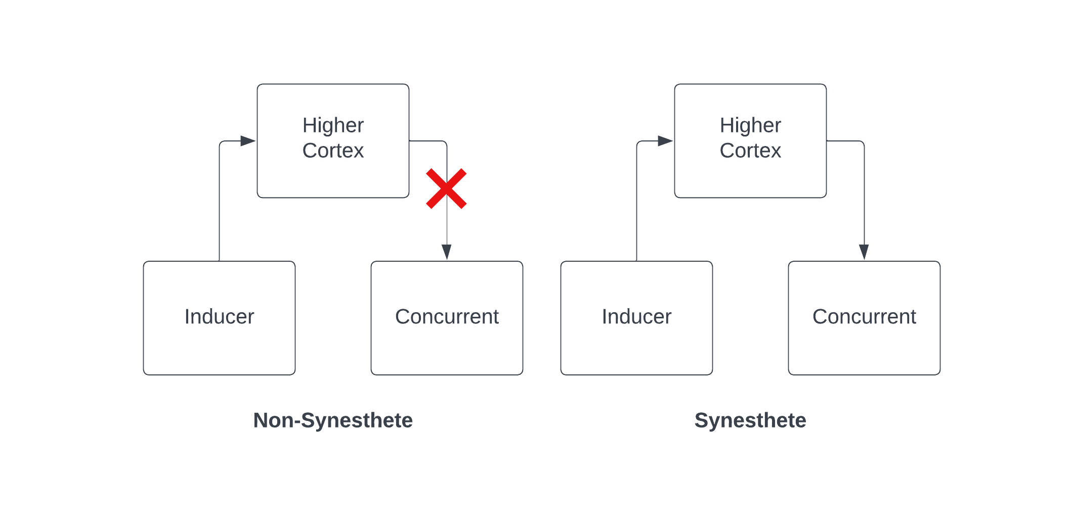 chart showing data flow in disinhibited feedback model.